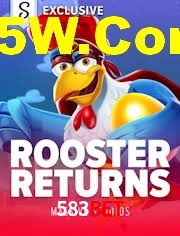 Crash Games Statistics 583bet